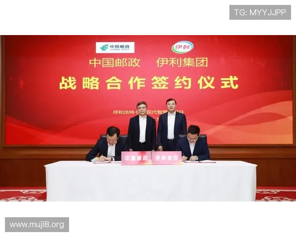 尊龙凯时体育域名安全注册流程详解保障用户账号安全